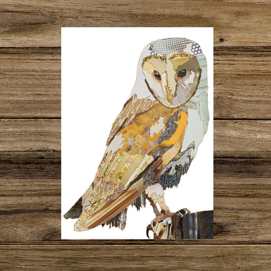 Catherine Kleeli Cards - Barn Owl